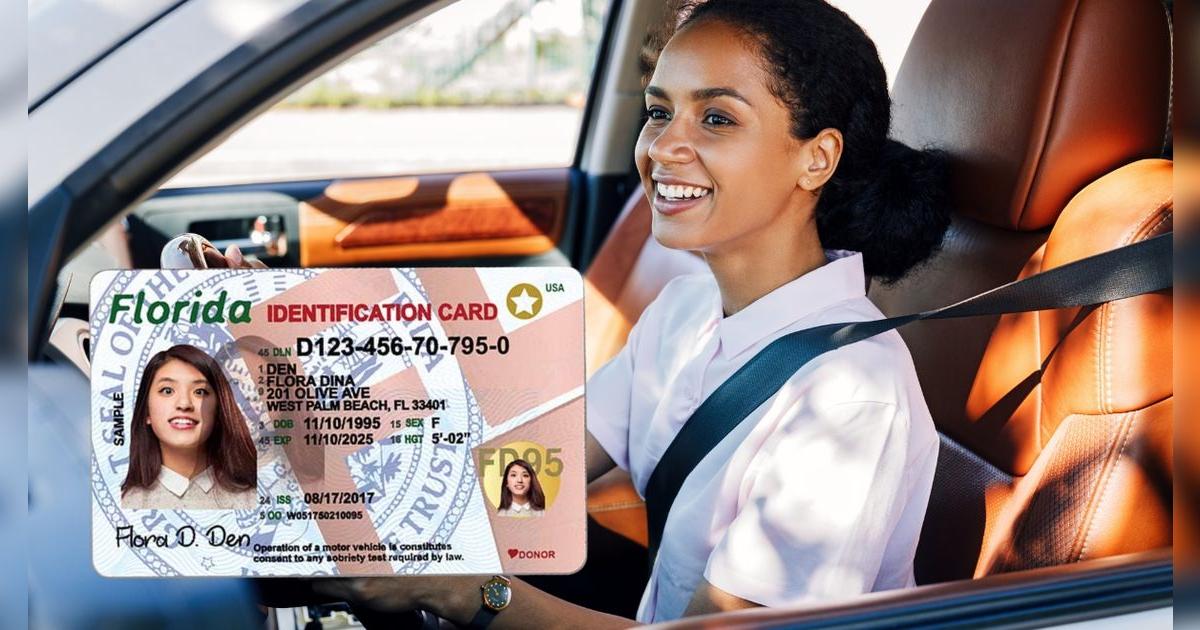 ¿Los inmigrantes pueden tramitar la licencia de conducir Real ID en Florida? Esto revela la ley