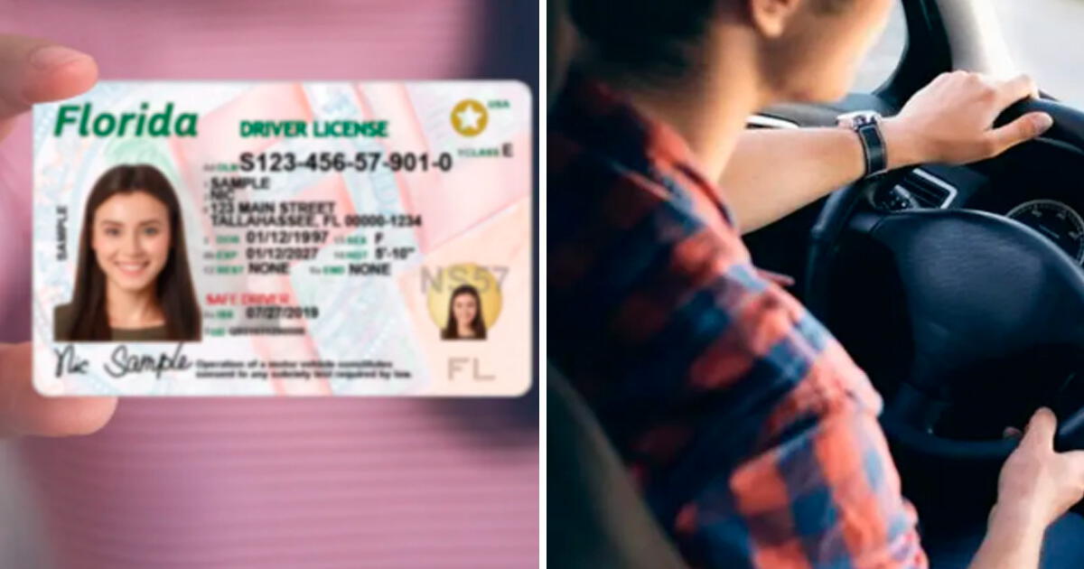 Licencia de conducir en Florida: Altos montos en MULTAS por manejar sin brevete y más