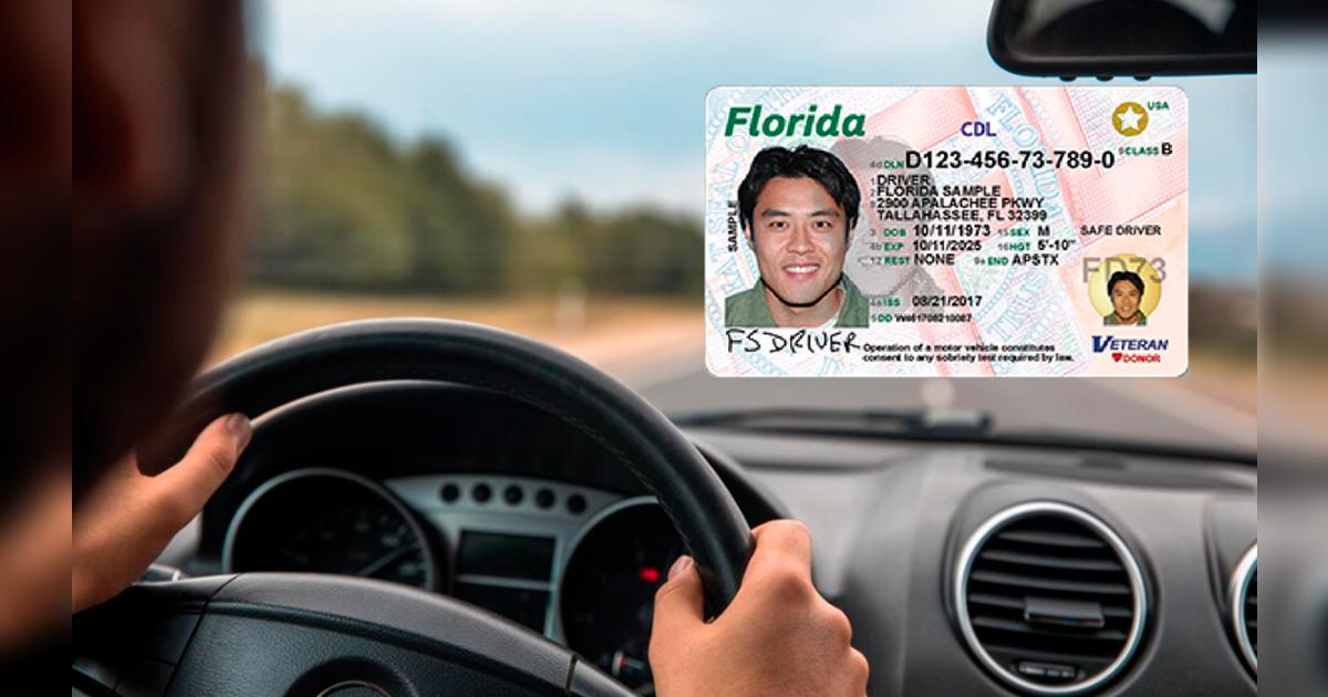¡Atención, inmigrantes en Miami! Oficinas del FLHSMV ofrecerá ayuda para que venezolanos con TPS puedan sacar licencias de conducir