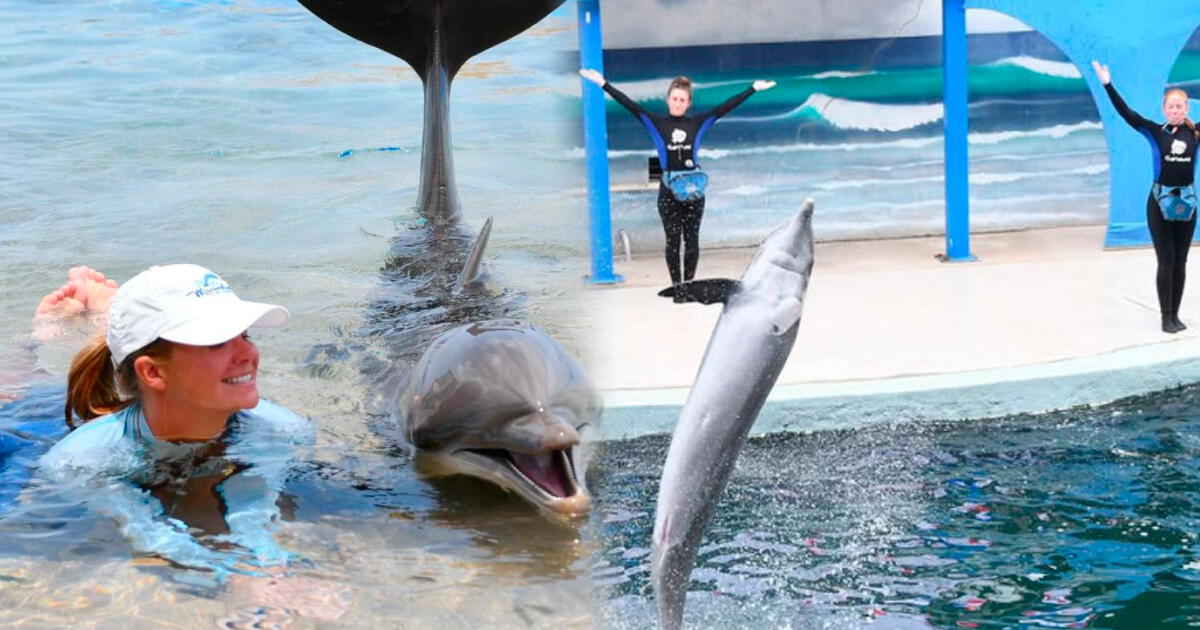 Parque acuático se declara en QUIEBRA tras denuncias en EE. UU.: ¿Qué sucederá con los animales?