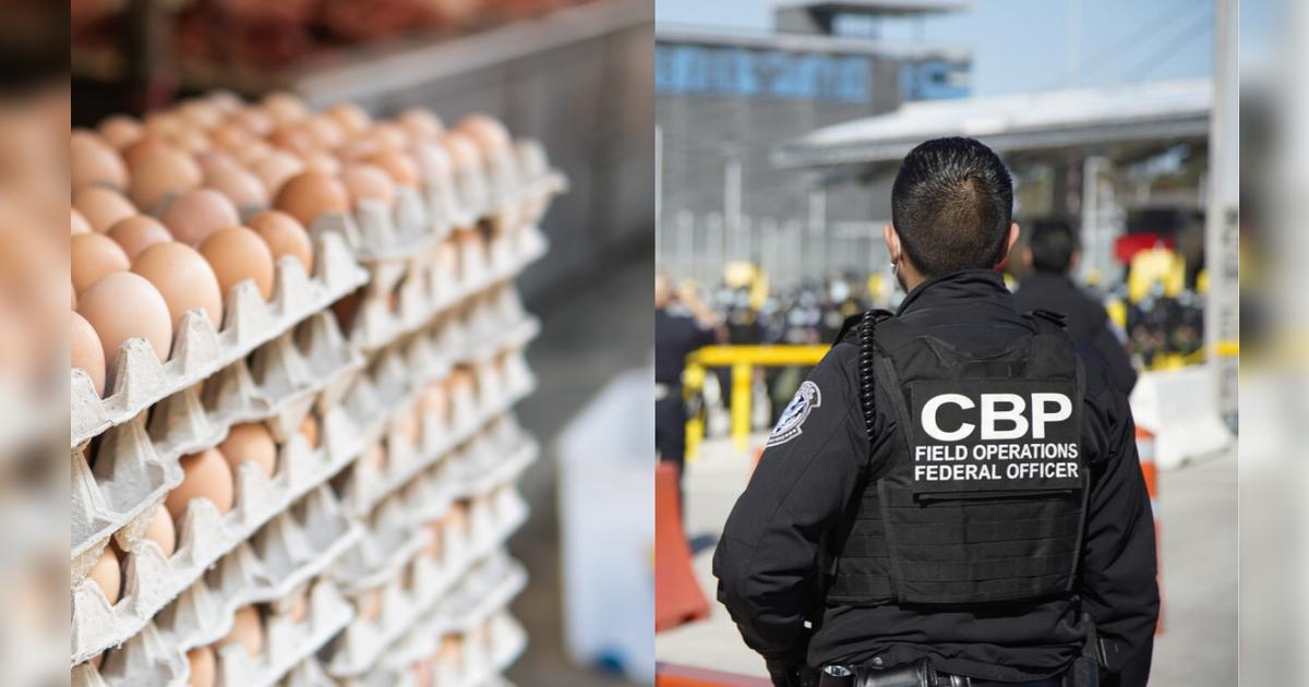 ¡Cuidado viajero! Multas de hasta 10.000 dólares por ingresar PRODUCTOS PROHIBIDOS a Estados Unidos