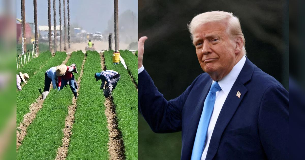 Trump plantea un plan de regularización para los trabajadores agrícolas y hoteleros indocumentados en EE. UU.
