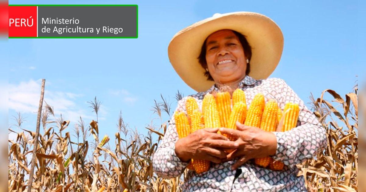 Bono Agrario 2025 en Perú: ¿Midagri publicó la lista de beneficiarios y existe LINK de consulta?