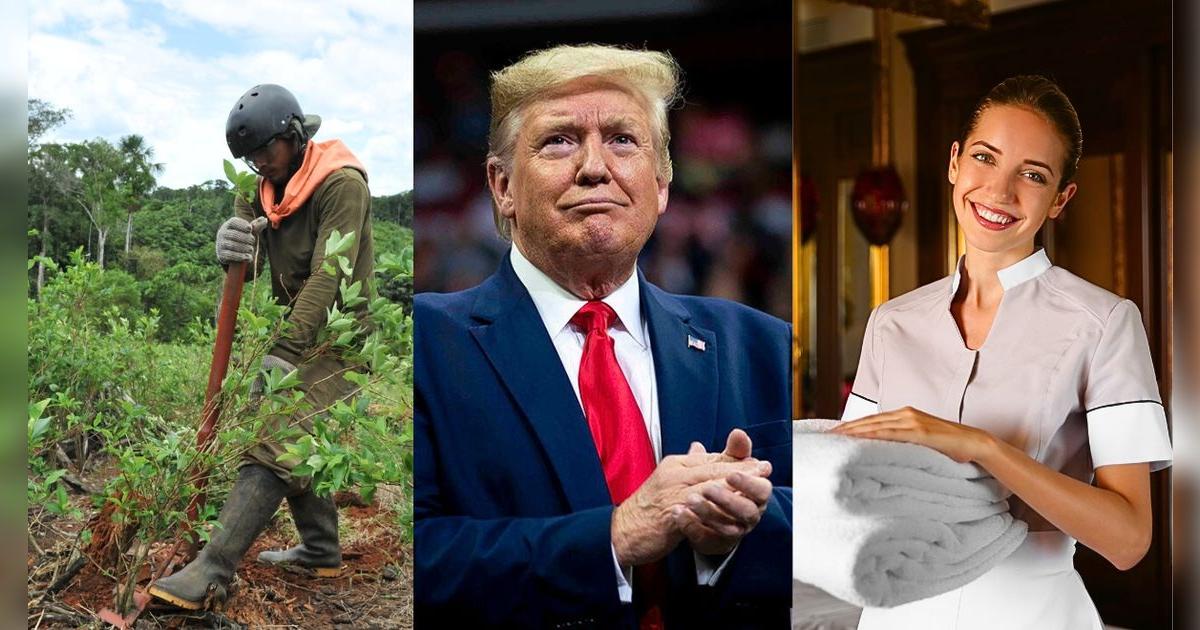 ¡Alerta, inmigrantes ilegales! Donald Trump propone permitirles trabajar legalmente en sectores clave de Estados Unidos