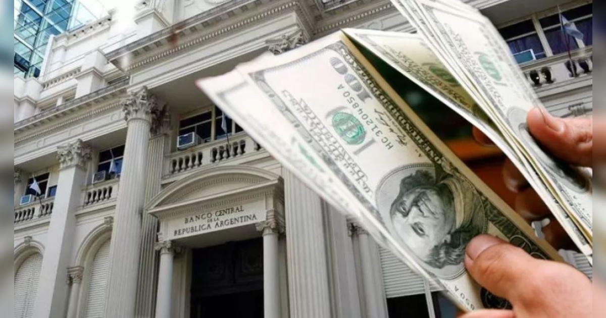 ¡Atención! Este es el correcto proceso para comprar dólares HOY: ¿Qué pasa con las tarjetas?