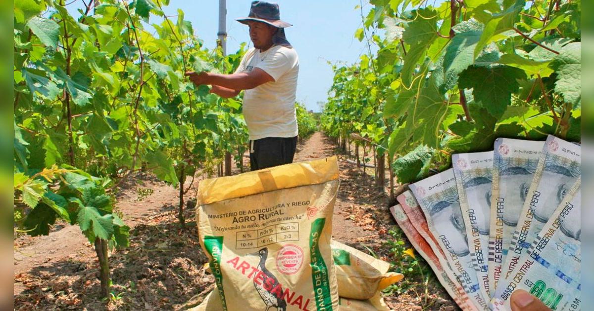 Bono de 1000 soles: quiénes serían los beneficiarios, posible fecha de pago y ÚLTIMAS NOTICIAS