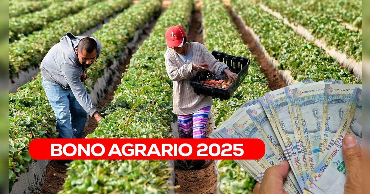 Bono agrario 2025: Consulta AQUÍ si estás registrado en el Padrón de Productores Agrarios