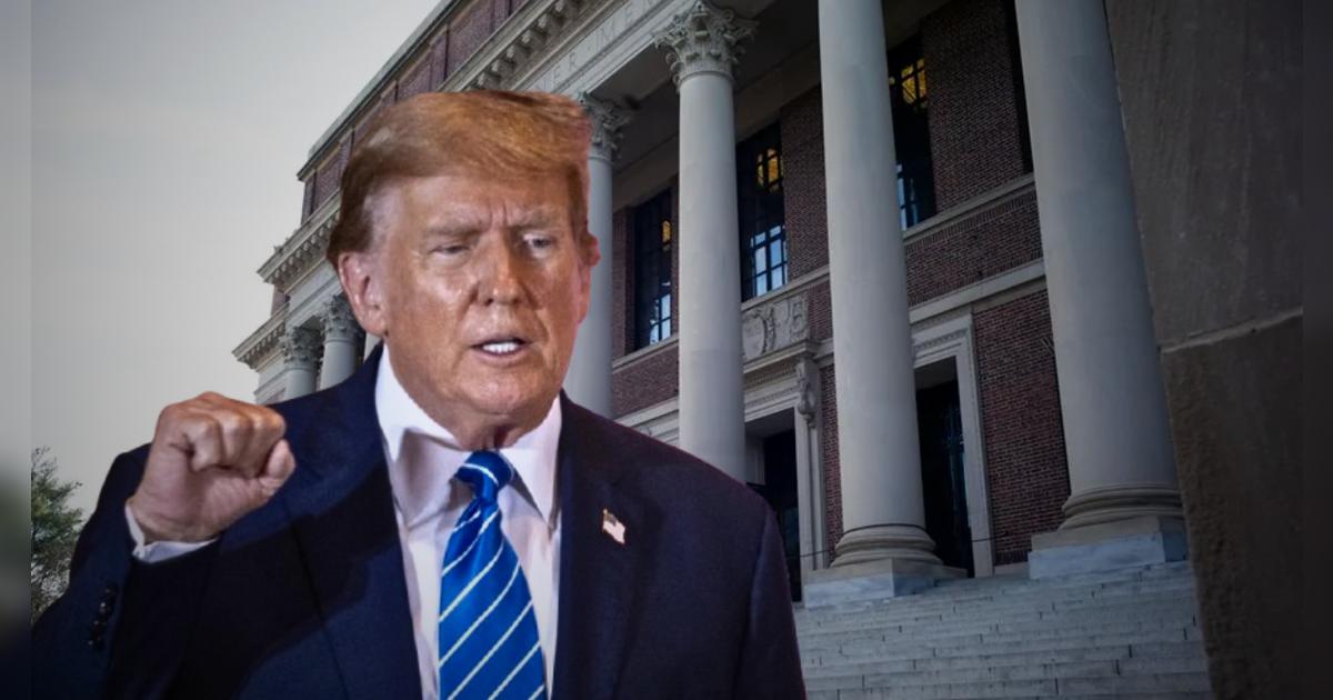 ¡Otro golpe a Trump! Harvard ignora sus exigencias y enfrenta pérdida de fondos federales