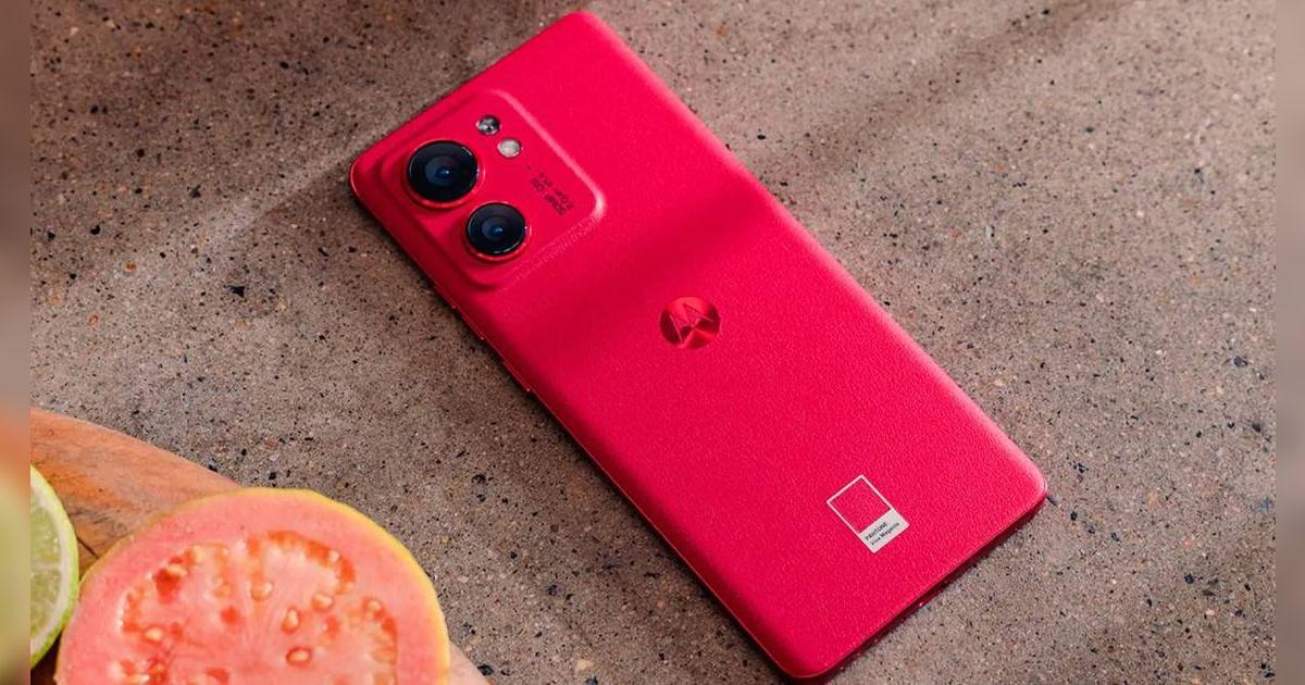 Este Motorola tiene todo lo que siempre has soñado, está hecho de cuero, resiste el agua y su precio es bajísimo