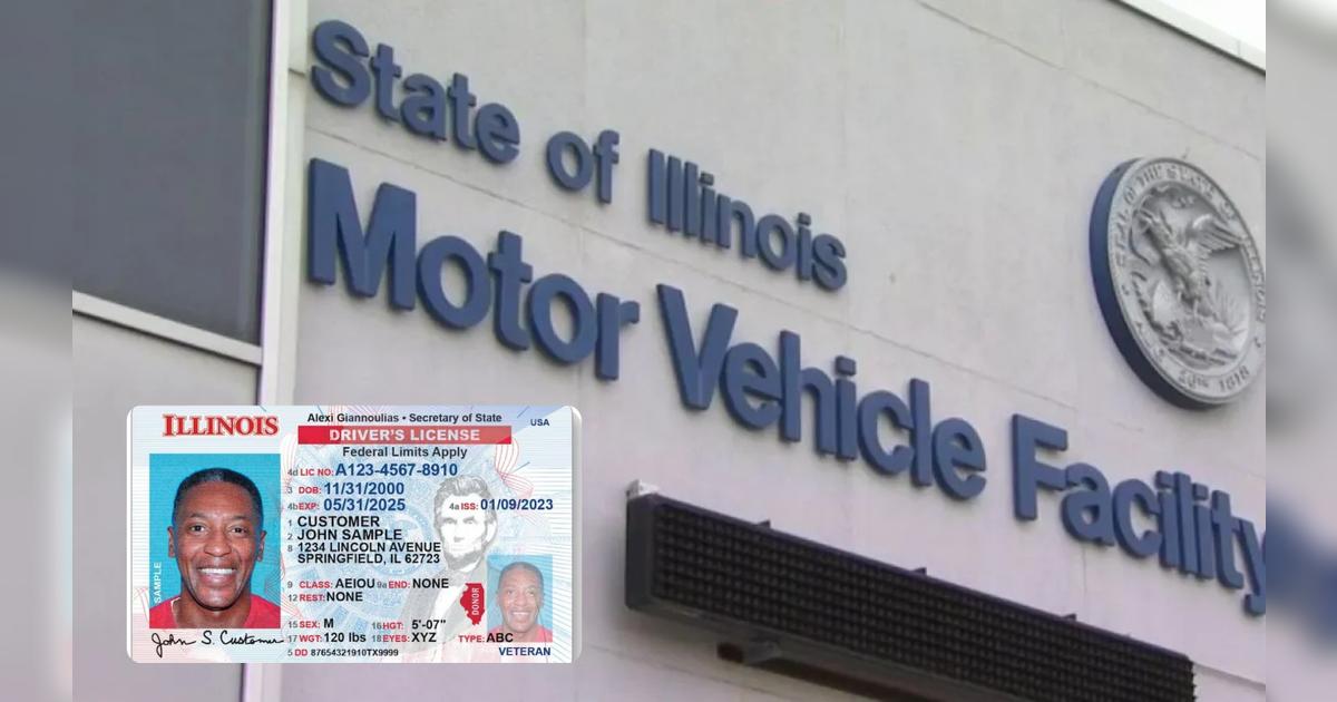 Licencia de conducir en Illinois: conoce el grupo de inmigrantes que NO pueden obtener el permiso en 2025