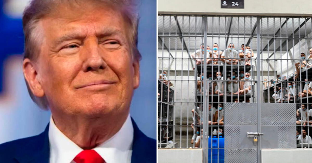 Donald Trump planea EXPULSAR a este grupo de EE. UU.: no solo los ILEGALES