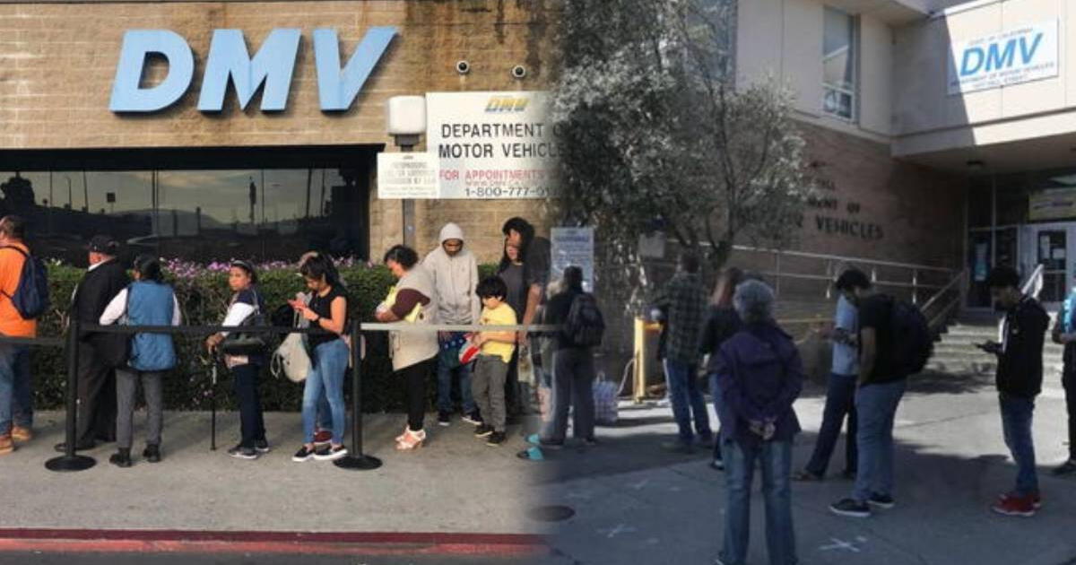 ¡Atención! Real ID obligatorio en EE. UU.: cómo evitar largas filas en el DMV