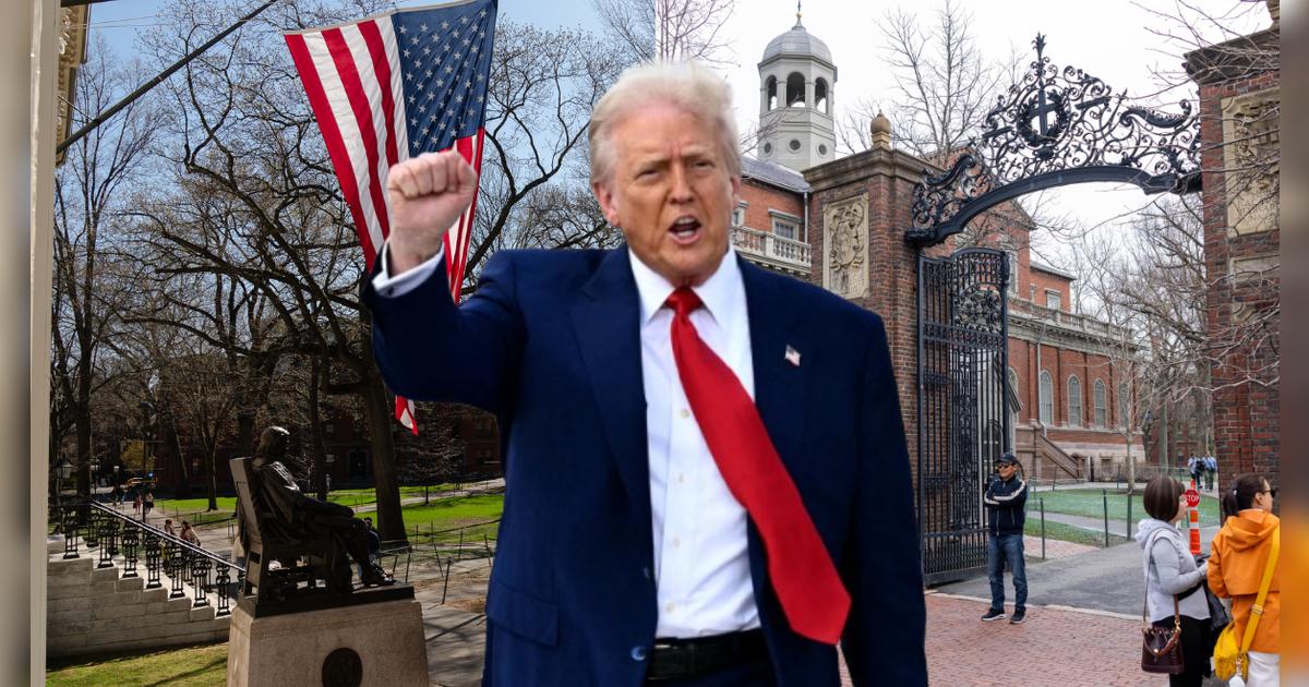 Revocan visas a estudiantes en Nueva York: ¿qué hay detrás del impacto político tras el regreso de Trump?