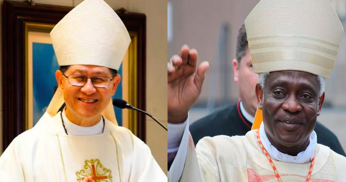 Tras la muerte del Papa Francisco, ¿quién sería el reemplazo del sumo pontífice? Esto dice la IA