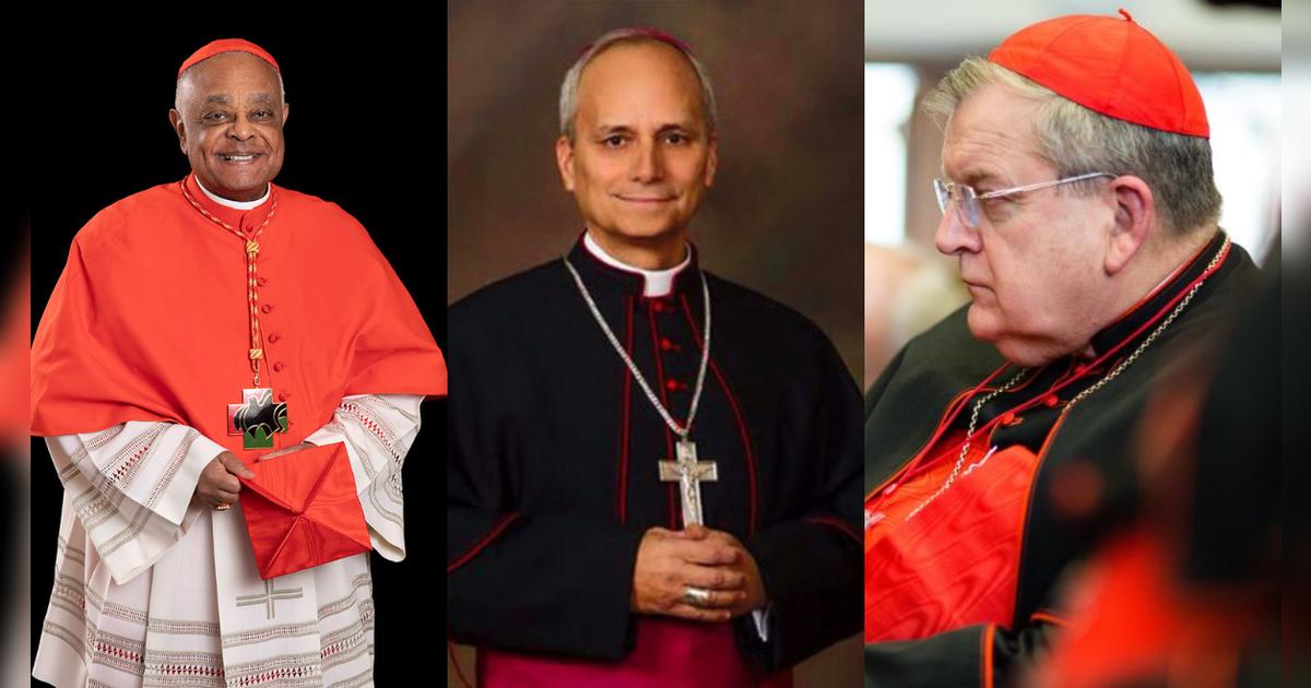 Uno apoya a Trump y otro fue el primer cardenal afroamericano: estos podrían ser los candidatos de EE. UU. a ser papa