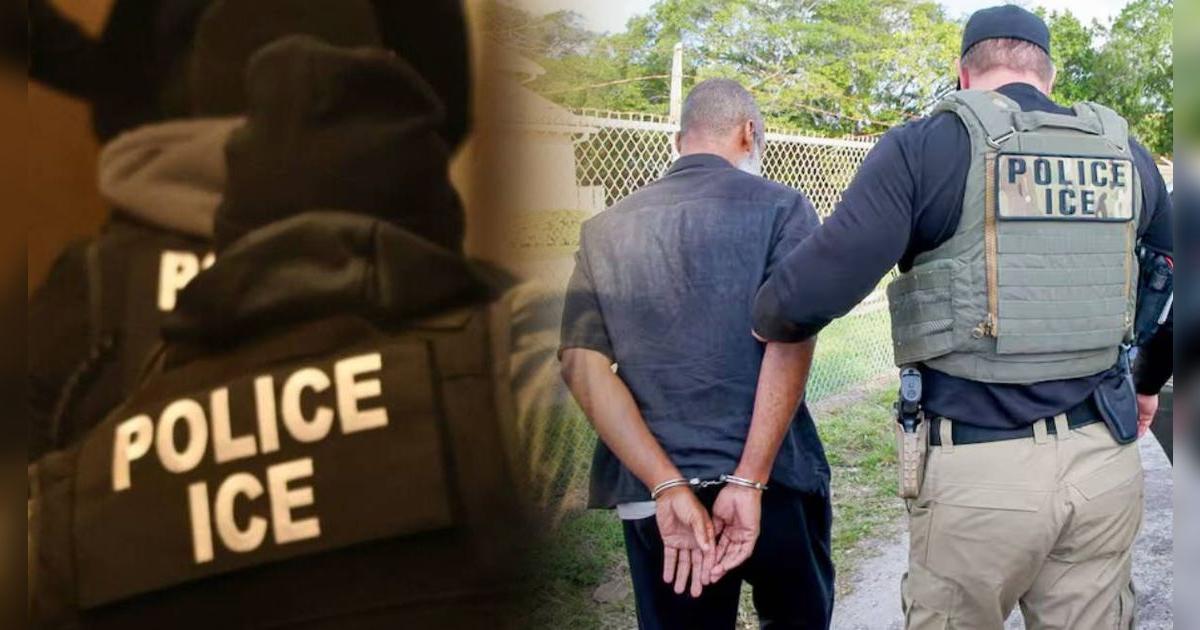 Mucho cuidado inmigrantes: ¿qué delitos investiga el Servicio de Control de Inmigración y Aduanas (ICE)?