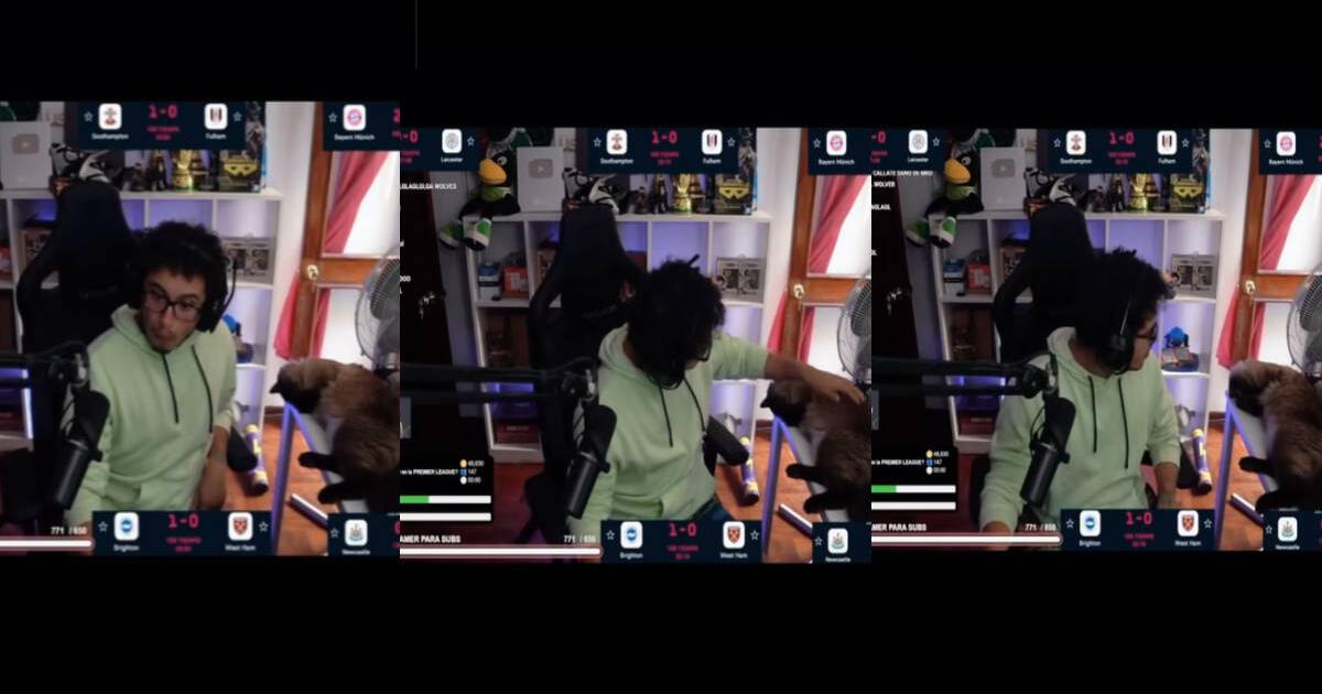 Streamer Ormeño casi queda en shock al creer que su gato murió en plena transmisión: 