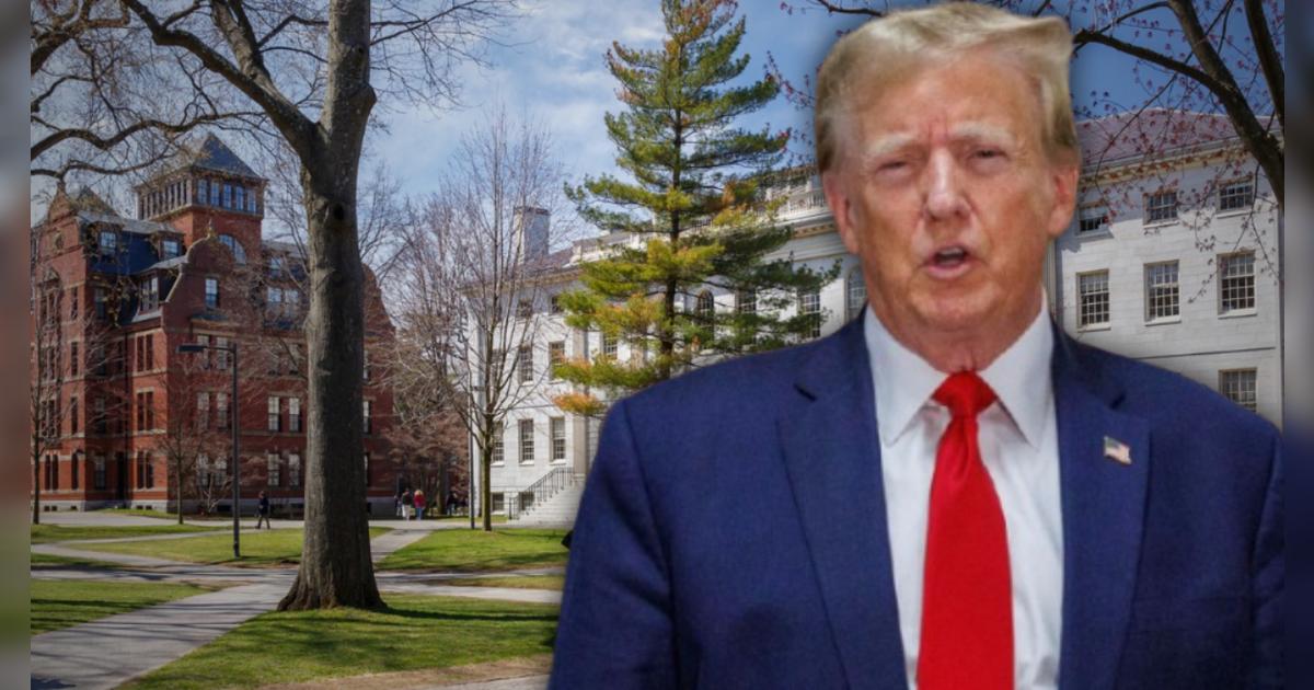 Golpe para Trump: ¿de qué trata la Ley de Procedimiento Administrativo y cómo salvaría a la Universidad de Harvard?