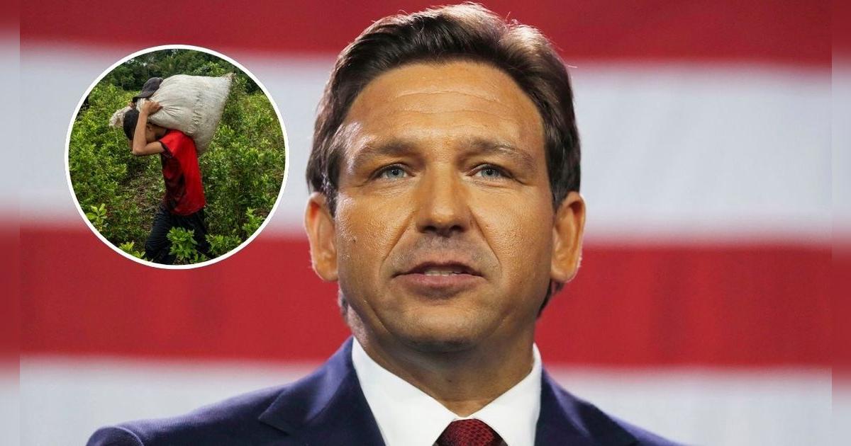 ¿Reemplazarán a los inmigrantes en Florida? Esta POLÉMICA IDEA de Ron DeSantis afecta a trabajadores adolescentes