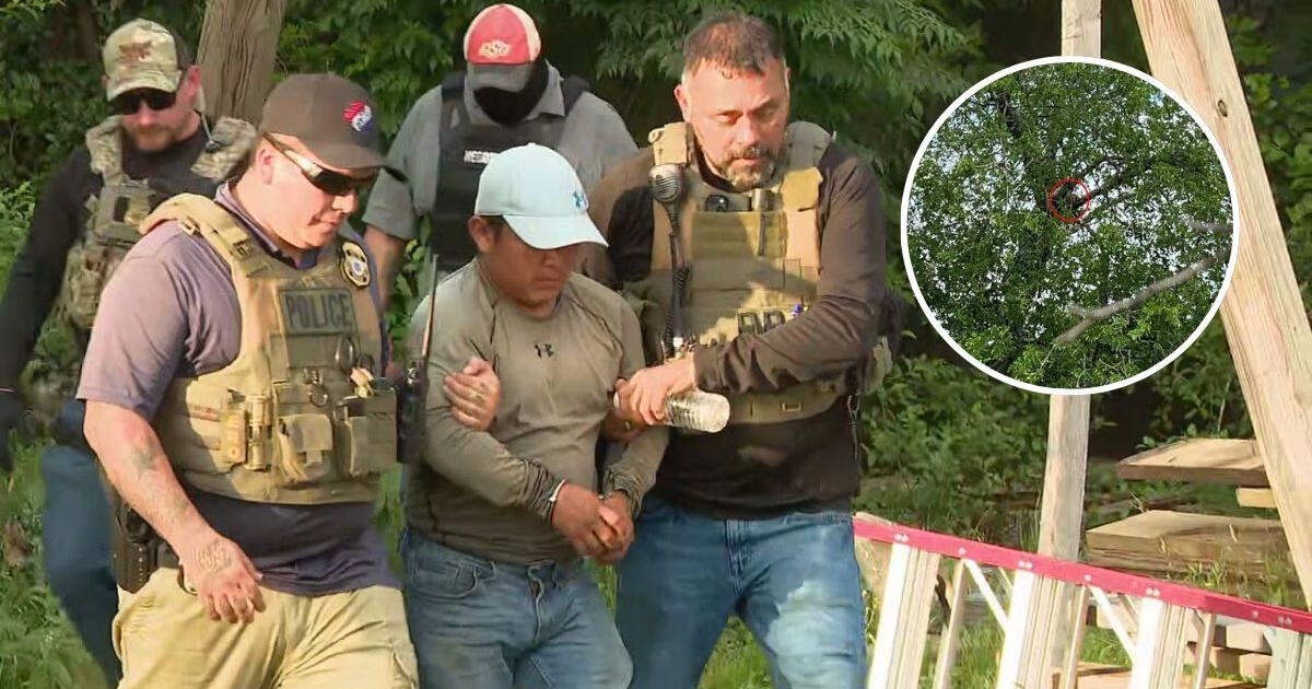 Persecución de ICE en Texas: inmigrante latino pasa OCHO HORAS subido a un árbol para evitar la deportación 