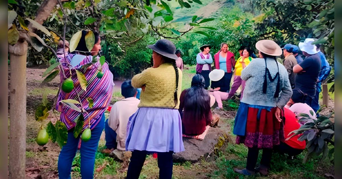 Bono agrario 2025: ¿Cómo saber si soy beneficiario del apoyo para agricultores?