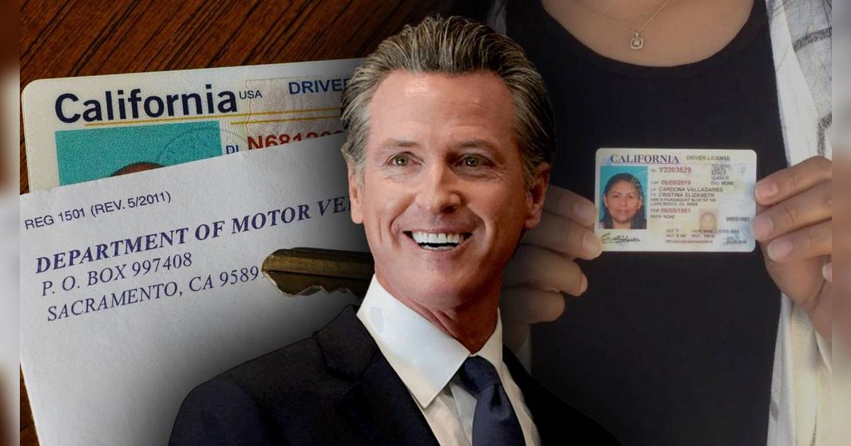 Gavin Newsom apoya histórica ley de licencia de conducir para inmigrantes en California: hay sanciones si no la portas