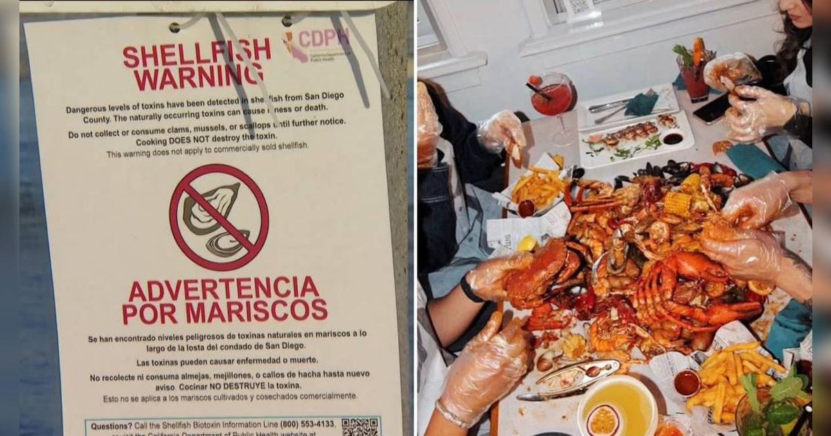 PÁNICO entre residentes de California: autoridades sanitarias emiten advertencia urgente sobre COMER MARISCOS