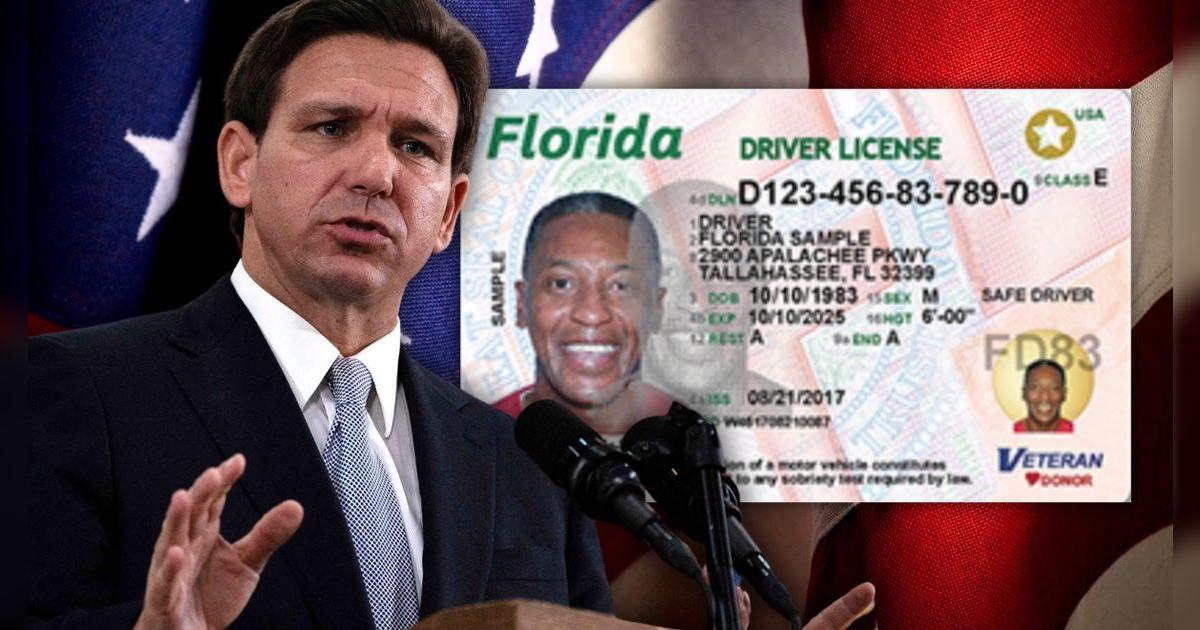 Real ID en Florida: estas son las oficinas oficiales donde podrás tramitar tu licencia de conducir
