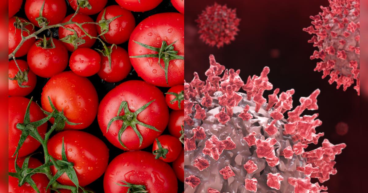 Atención: retiran tomates del mercado por riesgo de salmonela