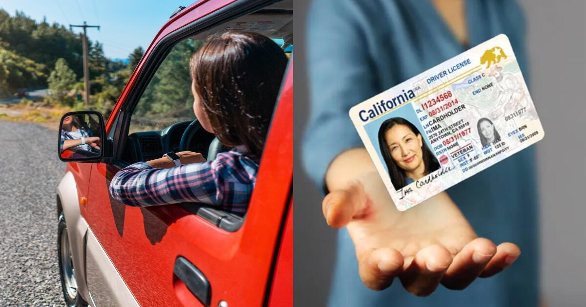 Viaja sin la Real ID: estas son las identificaciones válidas si aún no tienes el documento en Estados Unidos