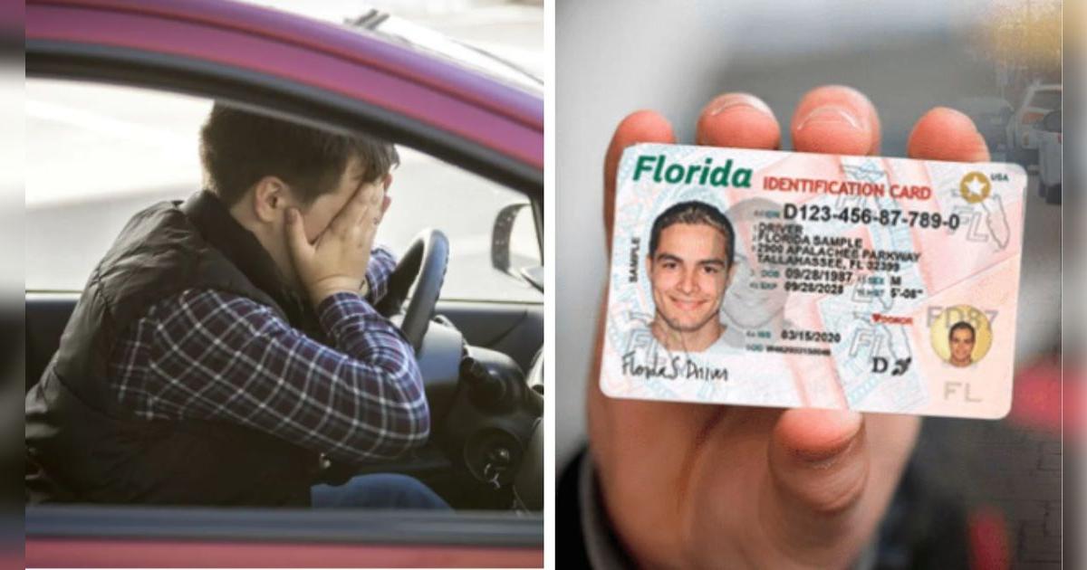 ALERTA, inmigrantes: los que no tengan ESTATUS deberán RENOVAR y pagar cada año por la licencia