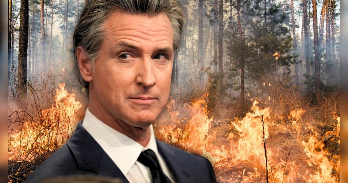 Gavin Newsom y los nuevos cambios en las leyes de prevención contra incendios en California