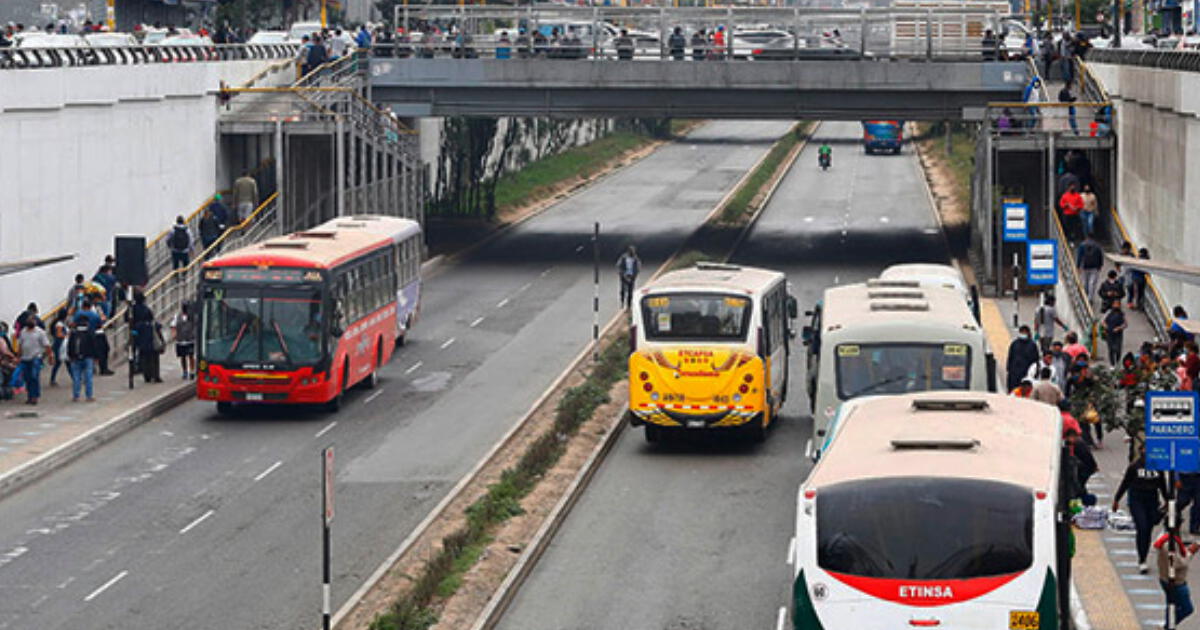 Buses ya no circularían por la nueva Vía Expresa Grau: solo este transporte estará autorizado