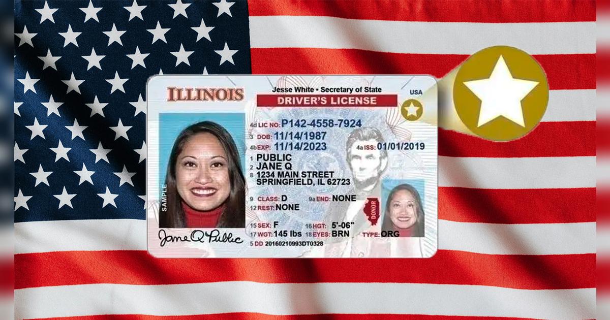 Sábados de Real ID en Illinois: oficinas del DMV que atienden con y sin cita previa en el estado