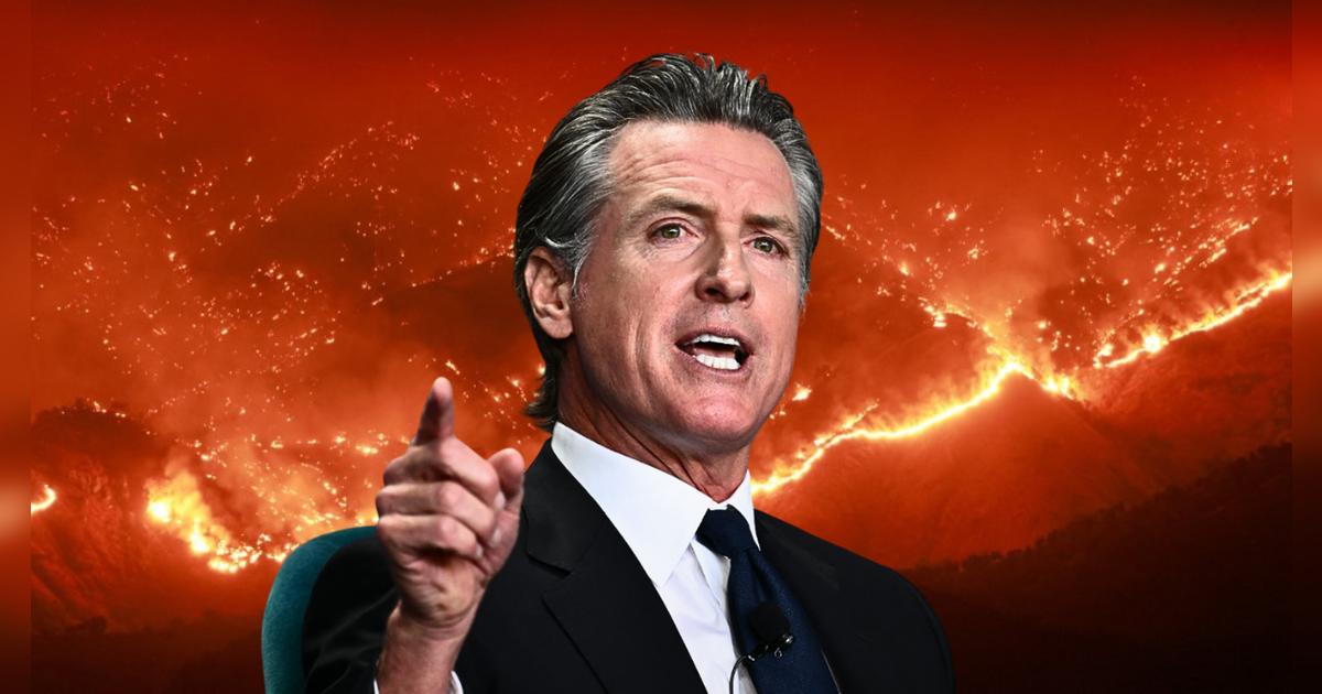 Gavin Newsom anuncia chatbot con IA que brinda recursos sobre incendios forestales en 70 idiomas