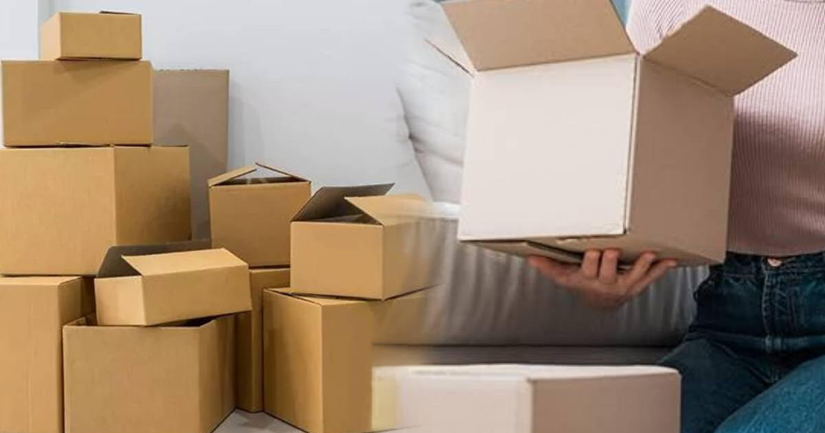 Quien tiene cajas de cartones en casa, tiene un gran tesoro: por qué y para qué sirven