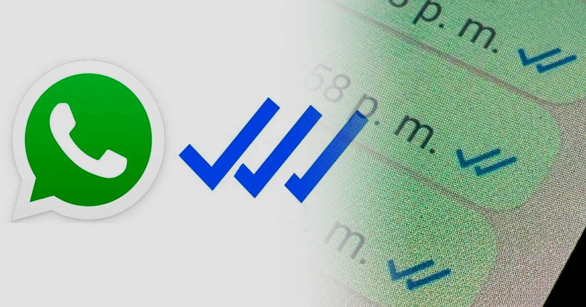 WhatsApp te muestra si alguien distinto al destinatario original leyó tu mensaje: ¿cómo ACTIVAR el TERCER TICK AZUL?