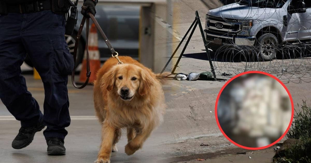 PERROS de la CBP provocaron el arresto de una abuela y su nieto: ¿Qué ENCONTRARON en el vehículo?