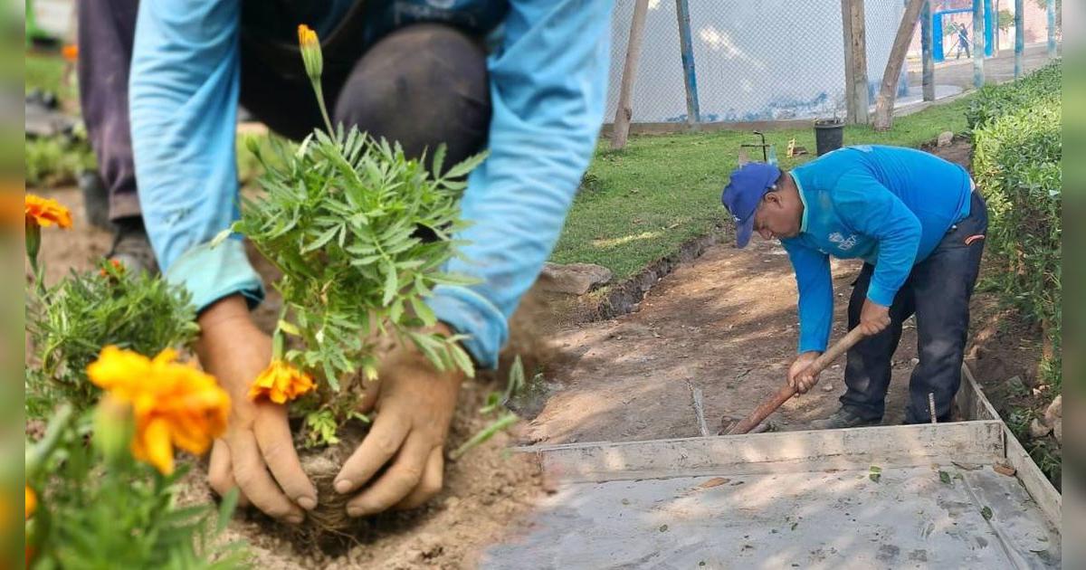 Se confirmó la mejor noticia: terminó esta obra que mejorará iluminación y veredas en Cercado de Lima