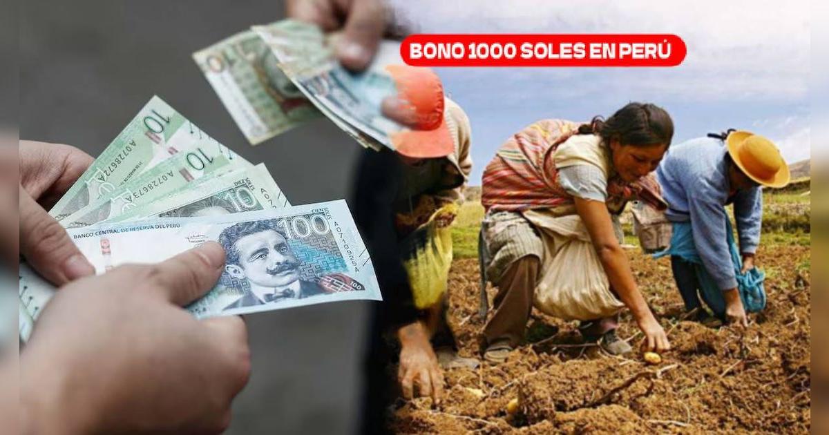 NUEVO subsidio especial confirmado para trabajadores: quiénes cobran los 1,000 soles HOY