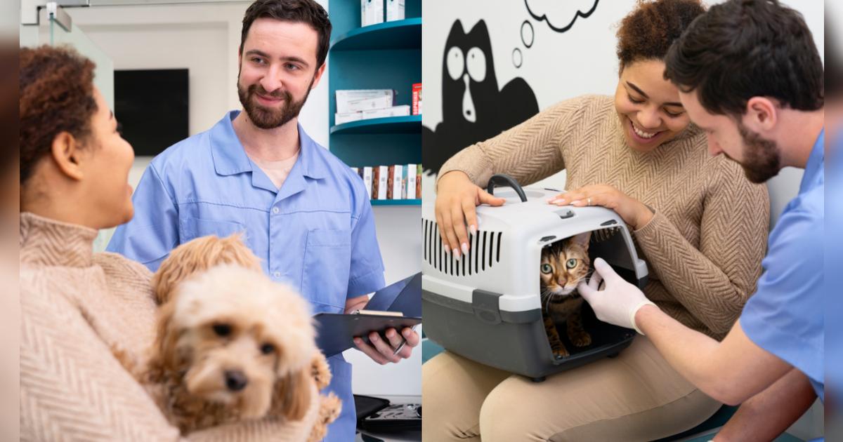 Atención veterinaria gratis en Nueva York: cómo acceder a este servicio en este condado