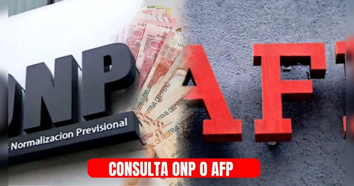 Mientras se espera la aprobación de un nuevo retiro, estos son los pasos para averiguar si estás en AFP u ONP