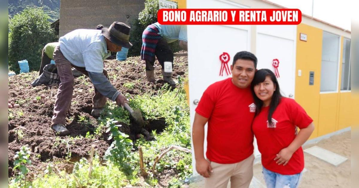 Bono Renta Joven y Bono Agrario 2025: montos, beneficiarios y últimas noticias en Perú