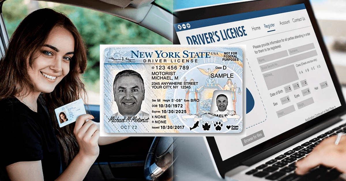 Ley Green Light en Nueva York: ¿Cómo afecta a los inmigrantes indocumentados y sus licencias?