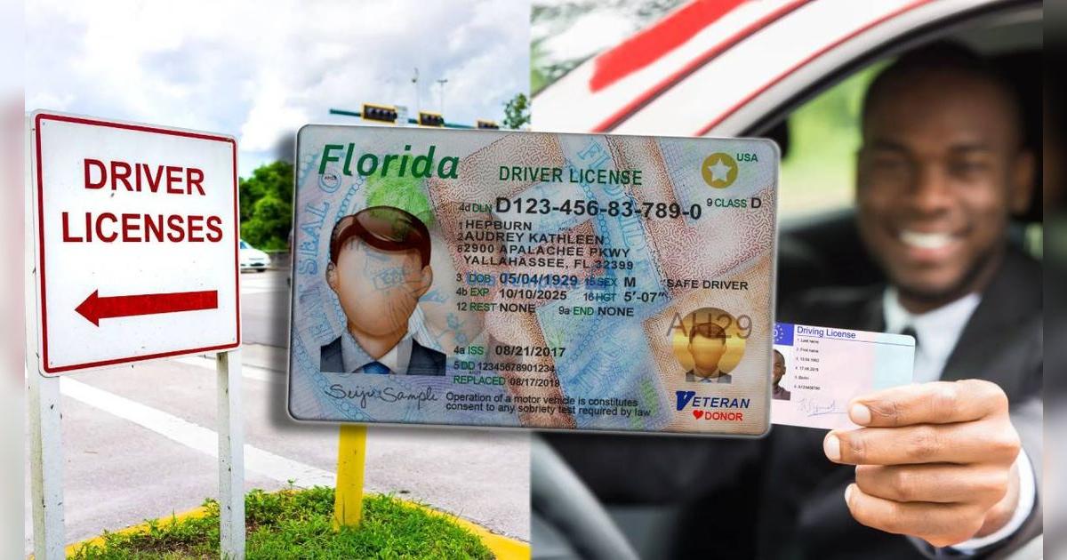 La mejor noticia sobre la licencia de conducir en Florida: ¿el FLHSMV acepta personas SIN CITA PREVIA?