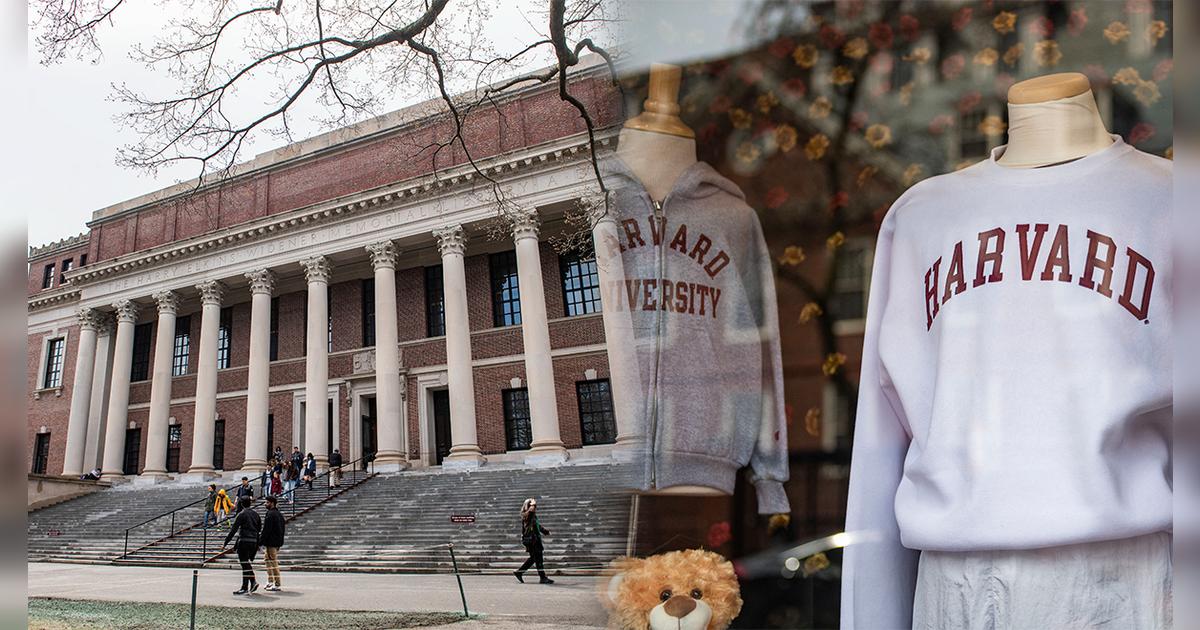 Universidad de Harvard brinda la mejor noticia a estudiantes extranjeros: becas extraordinarias y cómo acceder