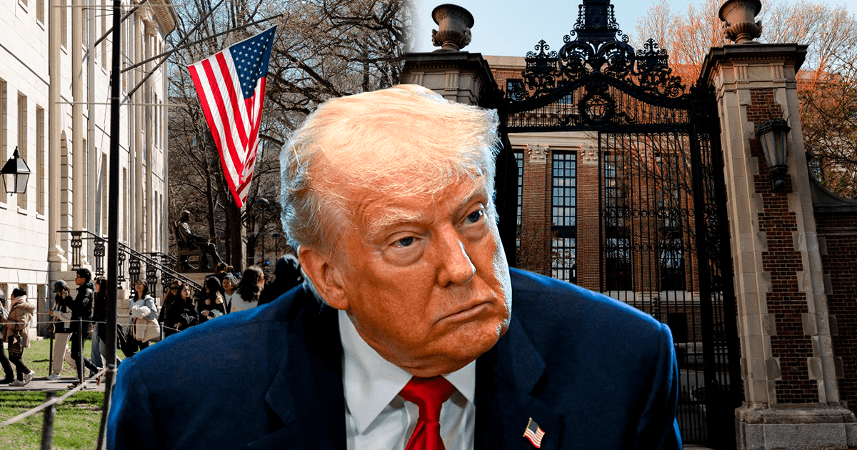 Duro golpe para Trump: juez frena la revocación de las visas de estudiantes internacionales en EE. UU.