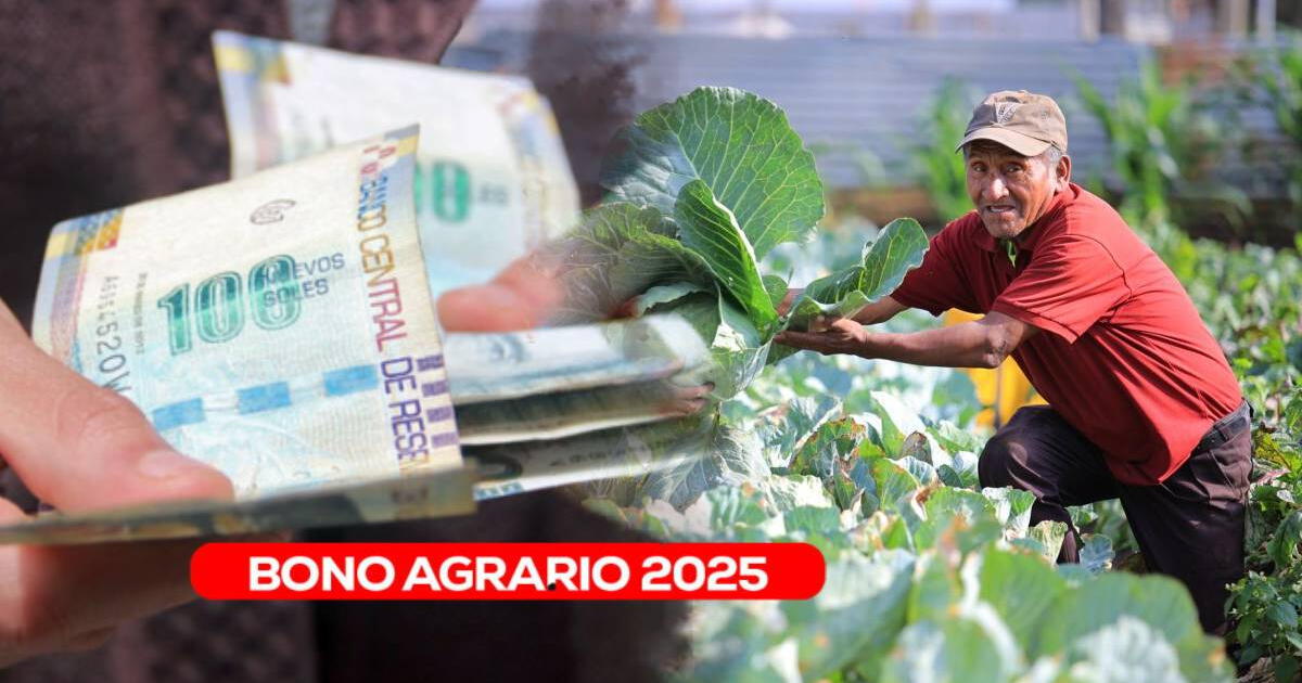 CONFIRMADO | Este es el NUEVO MONTO activo que ofrece MIDAGRI para los agricultores del Perú