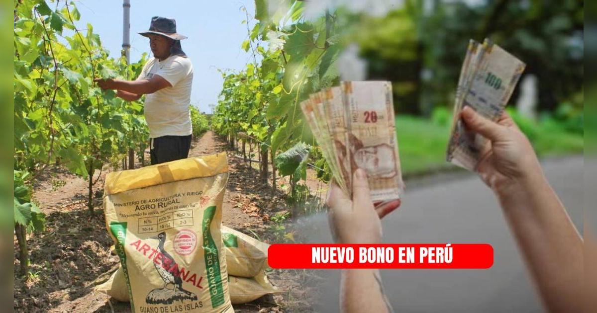 La mejor noticia para las familias peruanas: estas son las 12 regiones que recibirán el NUEVO BONO del Gobierno