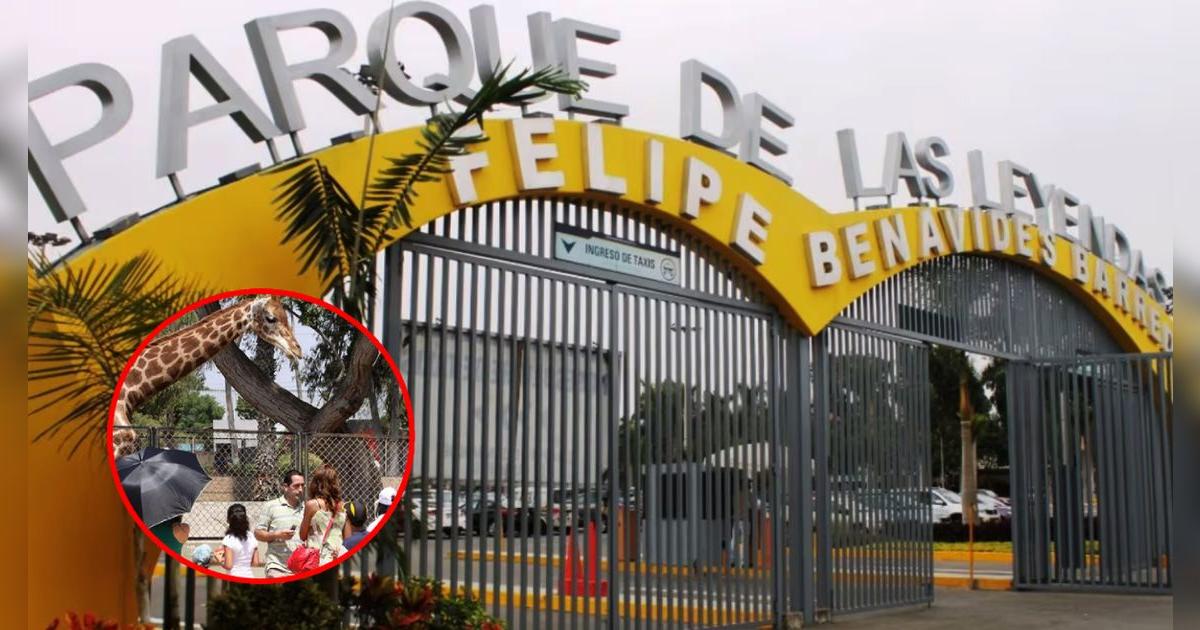 Parque de las Leyendas anunció entradas gratis todo el 2025: ¿Quiénes tienen pase libre?